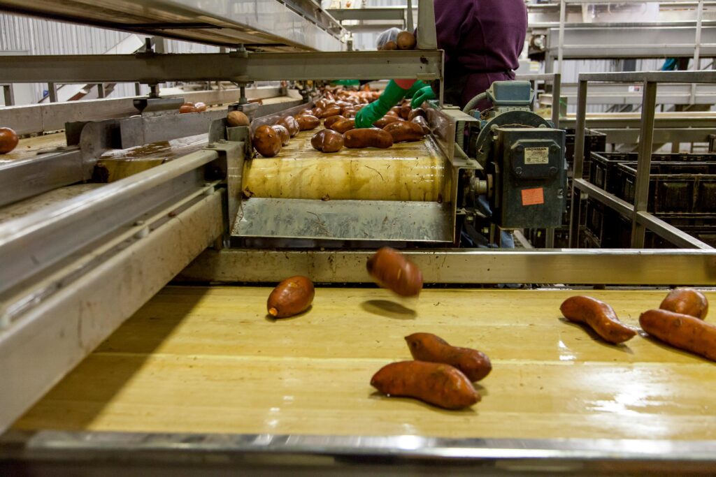 Conveyors & Stackers
